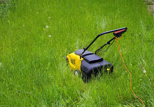 Can you mow wet grass Yuma, AZ