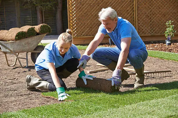 Dependable Sod Installation in Yuma, AZ