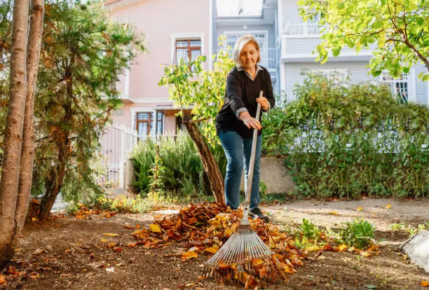 How To Clean A Backyard in Yuma, AZ