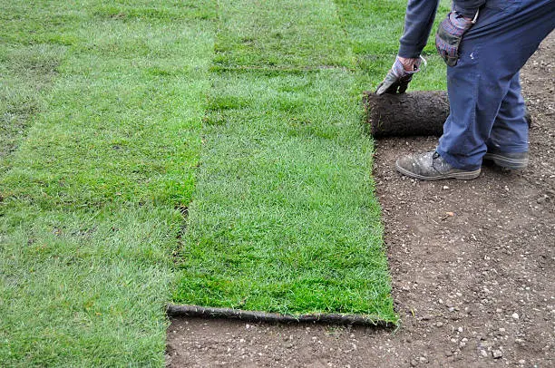 How to lay sod over existing lawn in Yuma, AZ