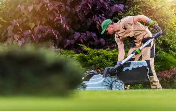 How to mow a lawn Yuma, AZ