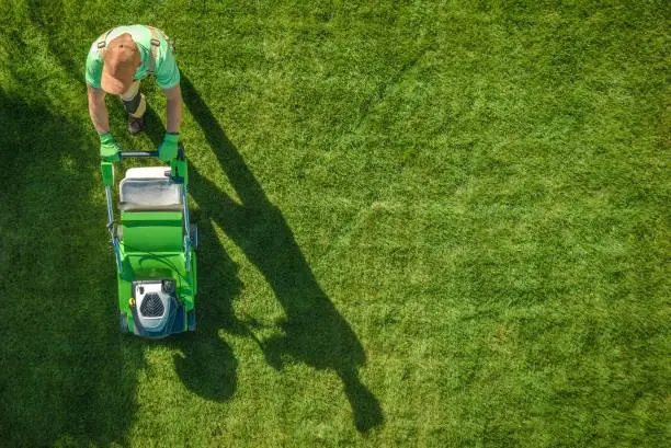 How to mow a lawn Yuma, AZ