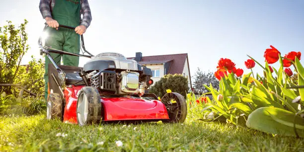 Lawn Mowing in Yuma, AZ