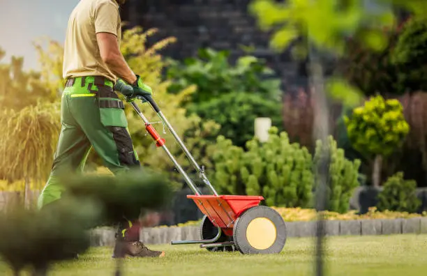 Reliable Lawn Fertilization in Yuma, AZ