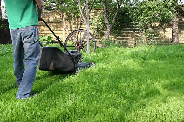 Reliable Lawn Mowing in Yuma, AZ