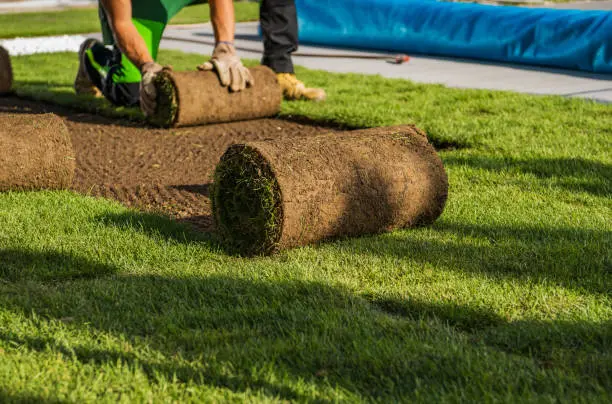 Sod Installation in Yuma, AZ