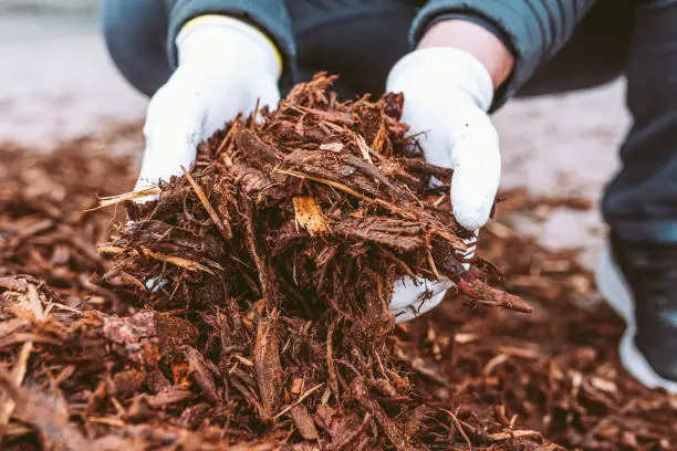 What does mulch do Yuma, AZ