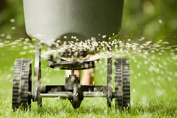 When is the best time to fertilize your lawn in Yuma, AZ